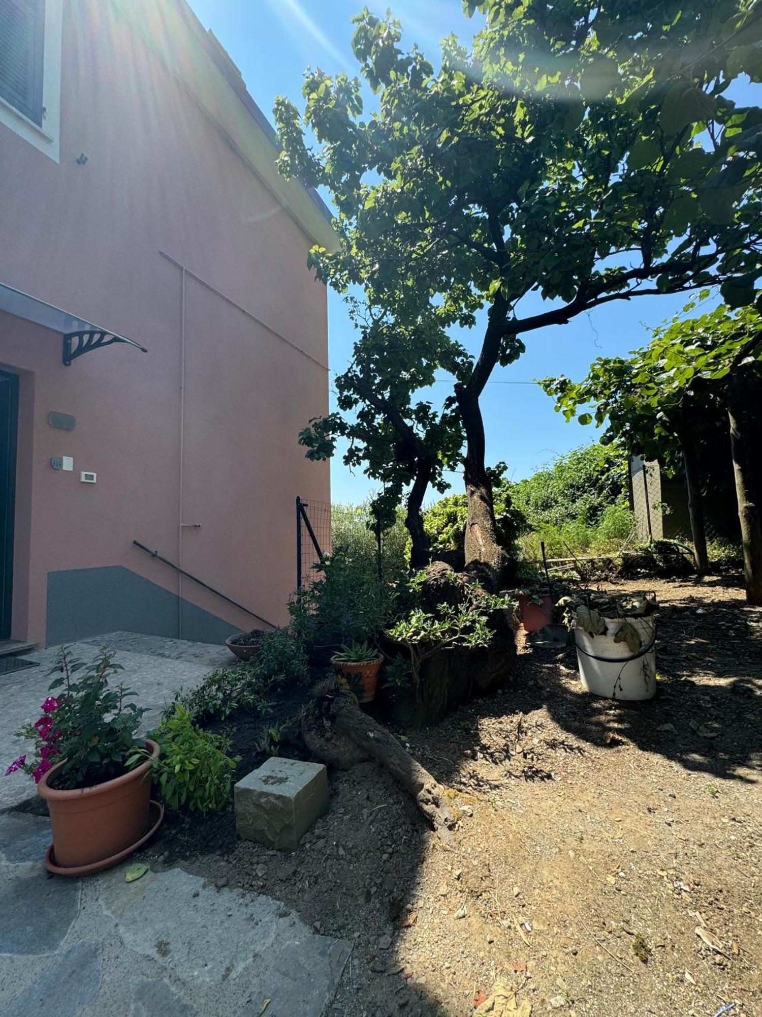Ca' Dii Buersa - Homy 5 Terre Appartement Volastra Buitenkant foto